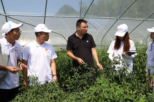实践团参观蔬菜大棚。437必赢会员中心供图